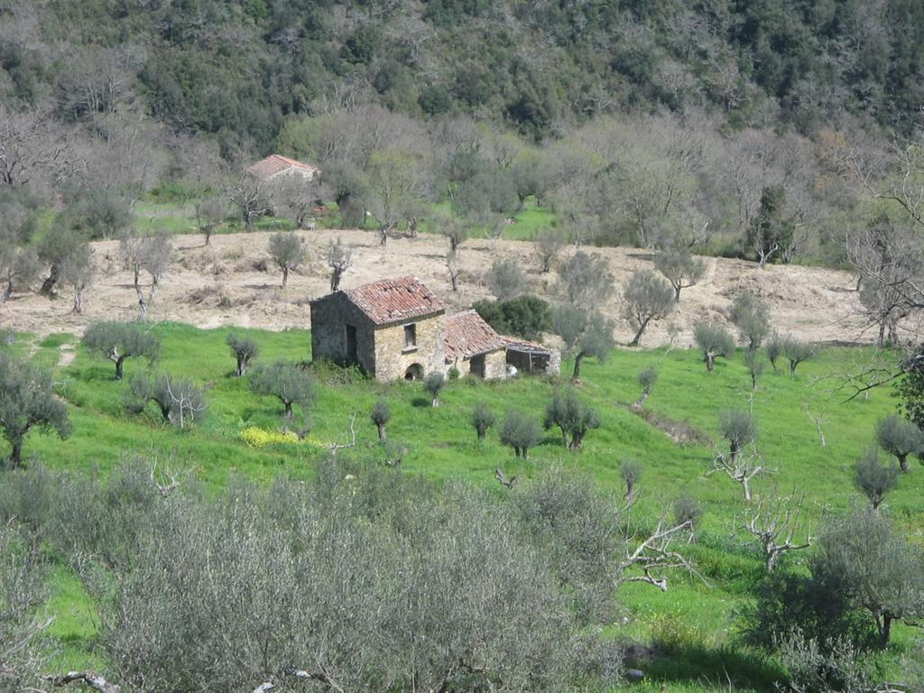 Casal Finocchito Villa Ogliastro Cilento Kültér fotó